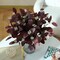 12-Pack 20" Artificial Eucalyptus Stems – Silk & Plastic Faux Greenery with Leaves and Berries for Wedding, Party, Home Décor, Centerpieces, and Floral Arrangements (Burgundy)